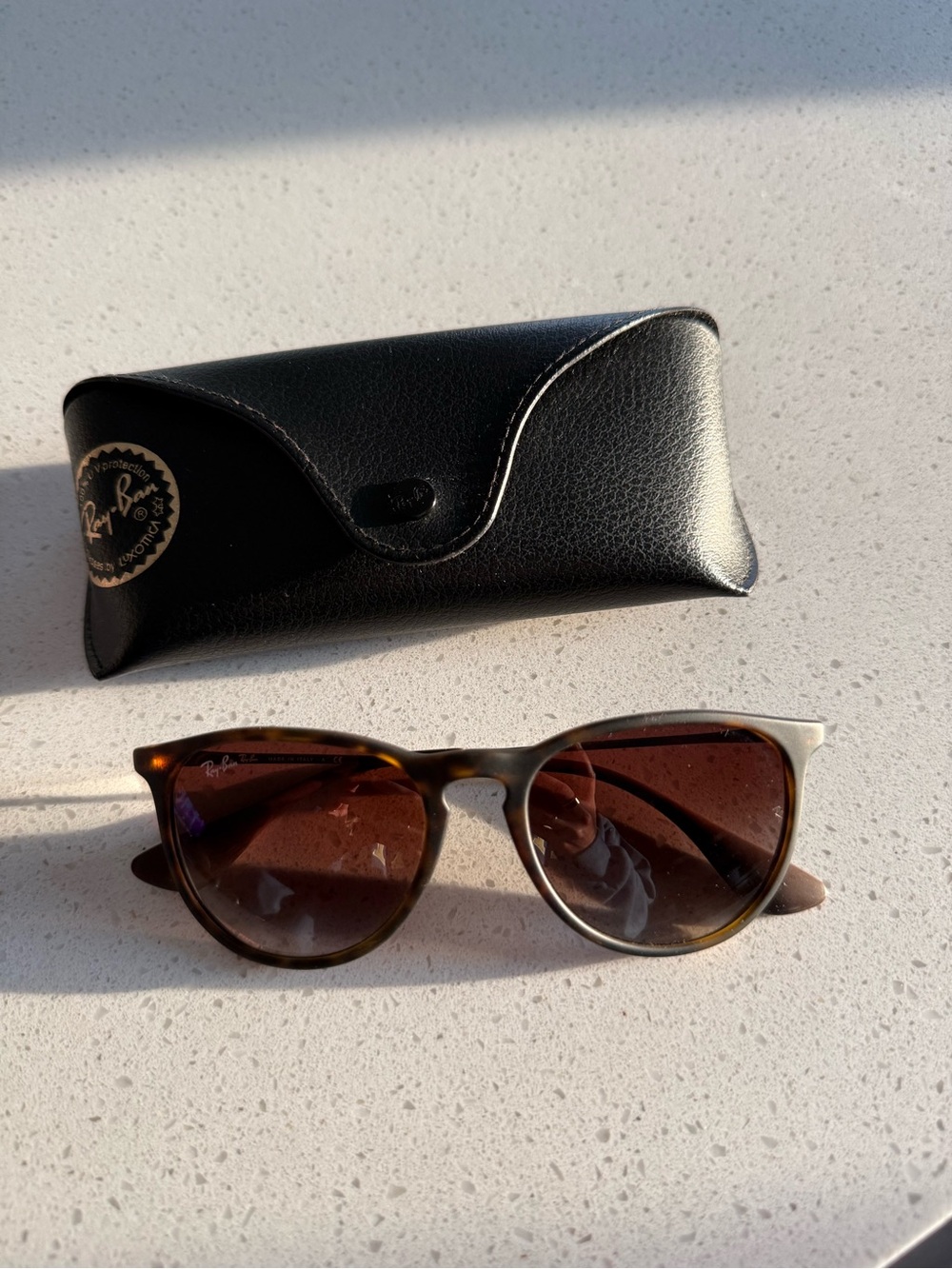 Ray-Ban Erika Sunglasses